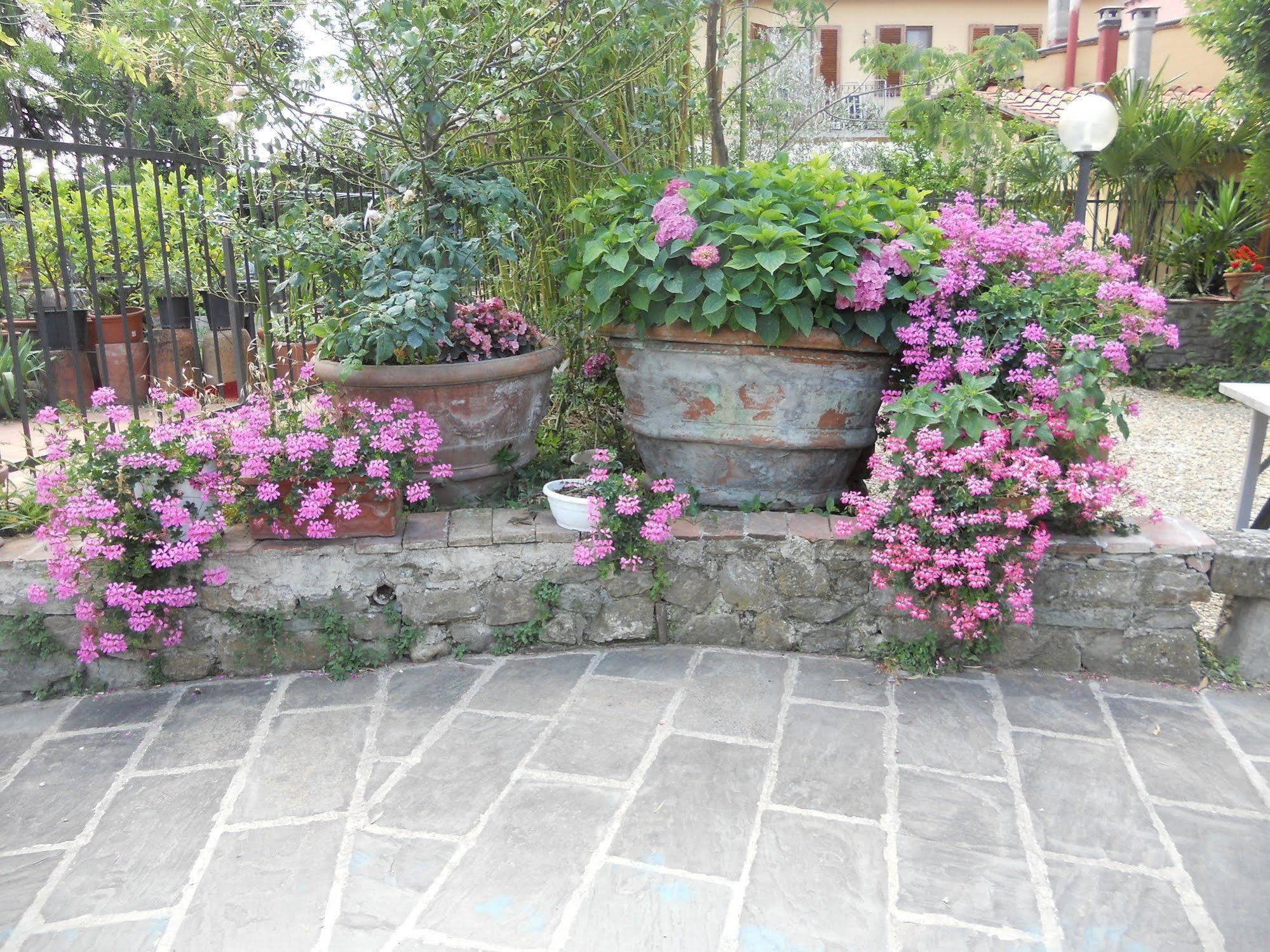 Agriturismo Le Macine Florence Exterior photo