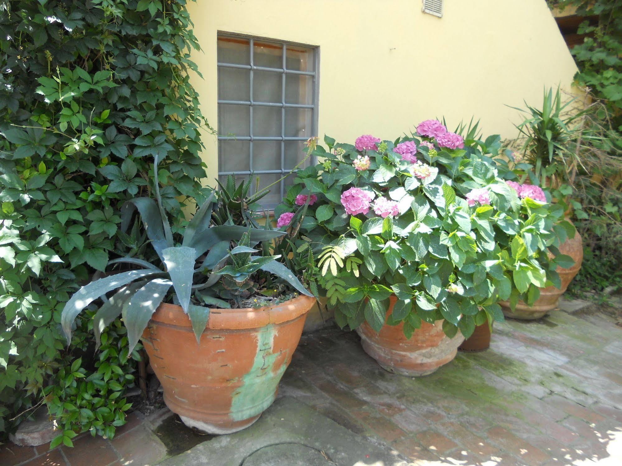 Agriturismo Le Macine Florence Exterior photo